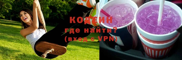 стаф Вязьма