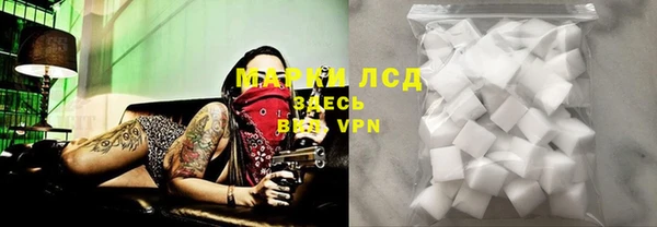 бошки Горняк