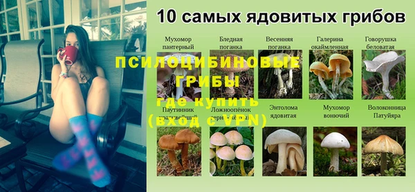 мдма Горнозаводск