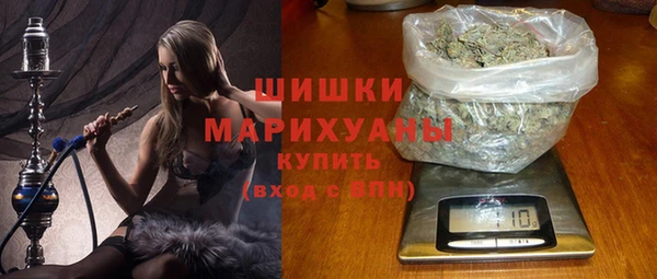 бошки Горняк