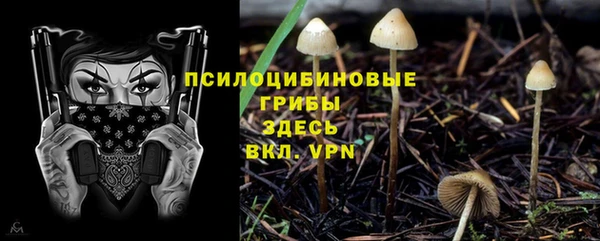 мдма Горнозаводск