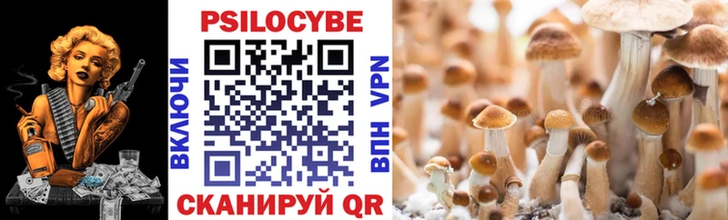 Псилоцибиновые грибы прущие грибы  где найти наркотики  Меленки 