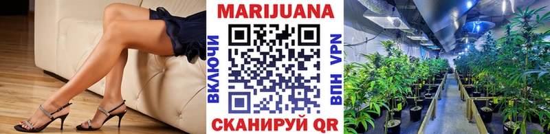 Канабис планчик Меленки